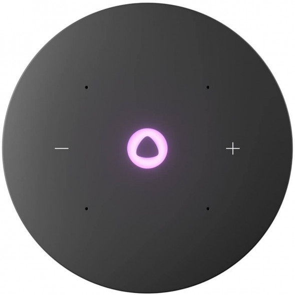 Умная колонка Яндекс Станция Мини 3 Про с Алисой с Zigbee, серый