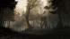 Игра GreedFall [PS4, русские субтитры] в Омск