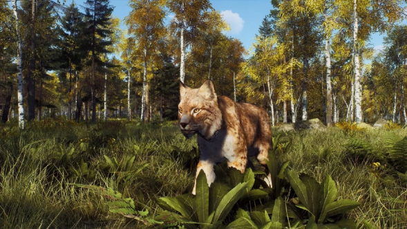 Игра Way of the Hunter: Wild Expeditions [PS5, русские субтитры] в Москве