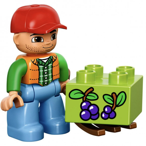 Конструктор LEGO DUPLO Town 10584 Лесной заповедник 