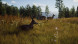Игра Way of the Hunter [PS5, русские субтитры] в Ижевске