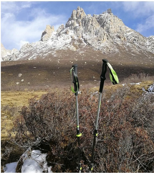 Треккинговая палка Naturehike 135 см, 1 шт., черный/красный