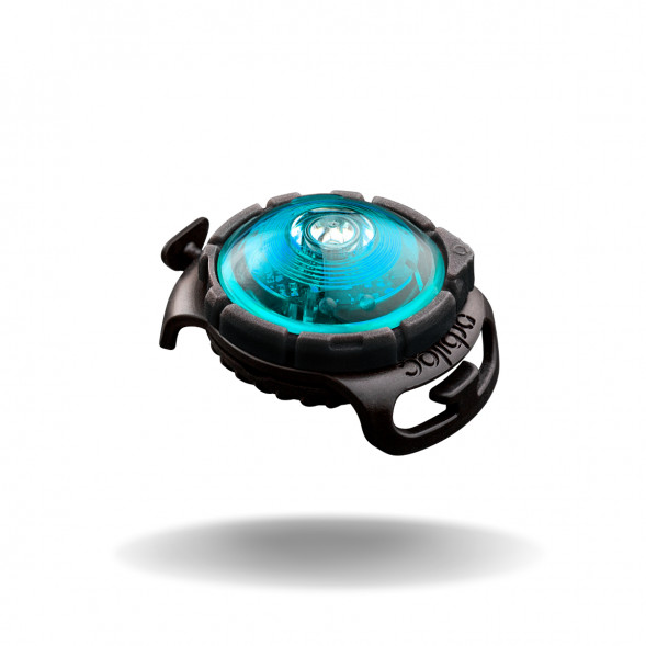 Фонарь для собак Orbiloc Dog Dual Fashion Colours, бирюзовый в Москве