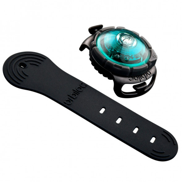Фонарь для собак Orbiloc Dog Dual Fashion Colours, бирюзовый в Москве