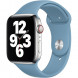 Ремешок для Apple Watch 44mm Northern Blue Sport Band (MYD32ZM/A), скандинавский синий