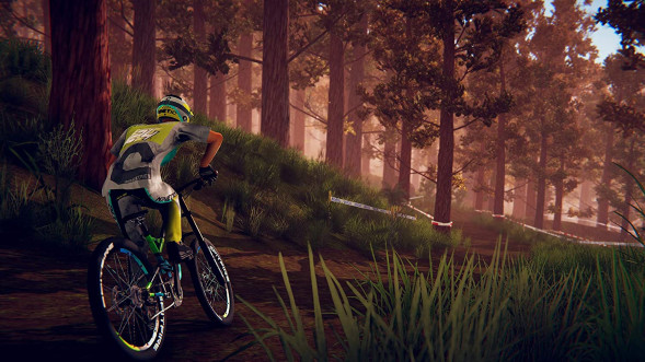 Игра Descenders [Nintendo Switch, английская версия] в Омск