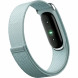Фитнес-браслет Google Fitbit Air (Серо-голубой/Fog)