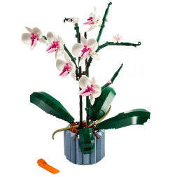 Конструктор LEGO Creator 10311 Орхидея
