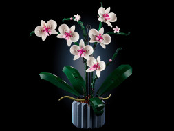 Конструктор LEGO Creator 10311 Орхидея