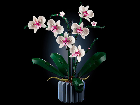 Конструктор LEGO Creator 10311 Орхидея в Балашихе