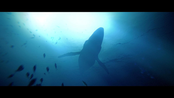 Игра Under The Waves [PS4, русские субтитры]