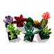 Конструктор LEGO Коллекционные наборы 10309 Суккуленты