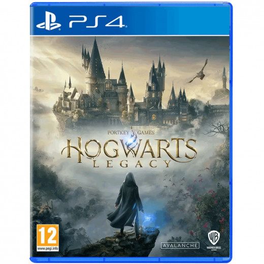 Игра Hogwarts Legacy [PS4, русские субтитры] &mdash; 
