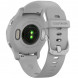 Смарт-часы Garmin Venu 2S, Mist Grey 010-02429-12