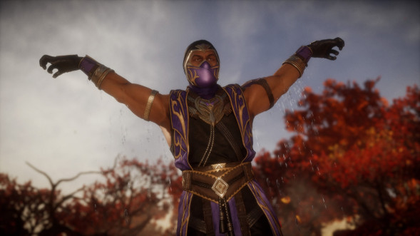 Игра Mortal Kombat 11 для Nintendo Switch, картридж